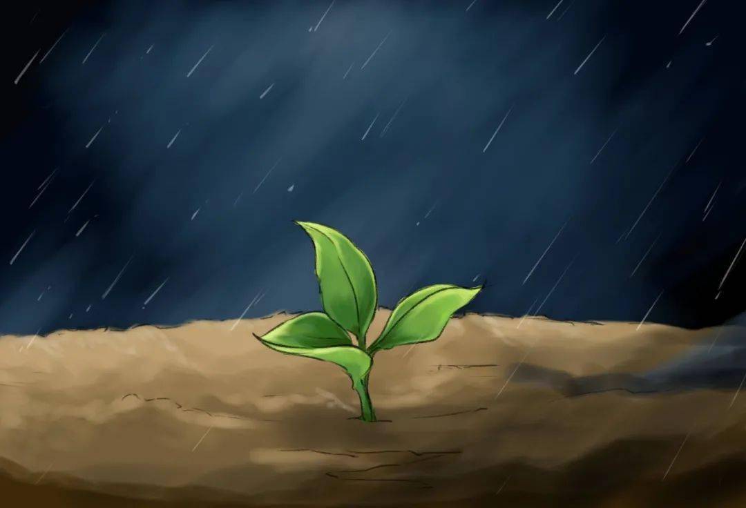 赛道逆境:面对沙尘暴的应对之道的简单介绍 赛道逆境:面对沙尘暴的应对之道的简单介绍