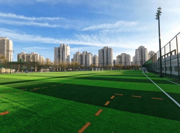 特色足球场馆“绿色+智慧”成为行业标杆，硬件设施不断完善的简单介绍