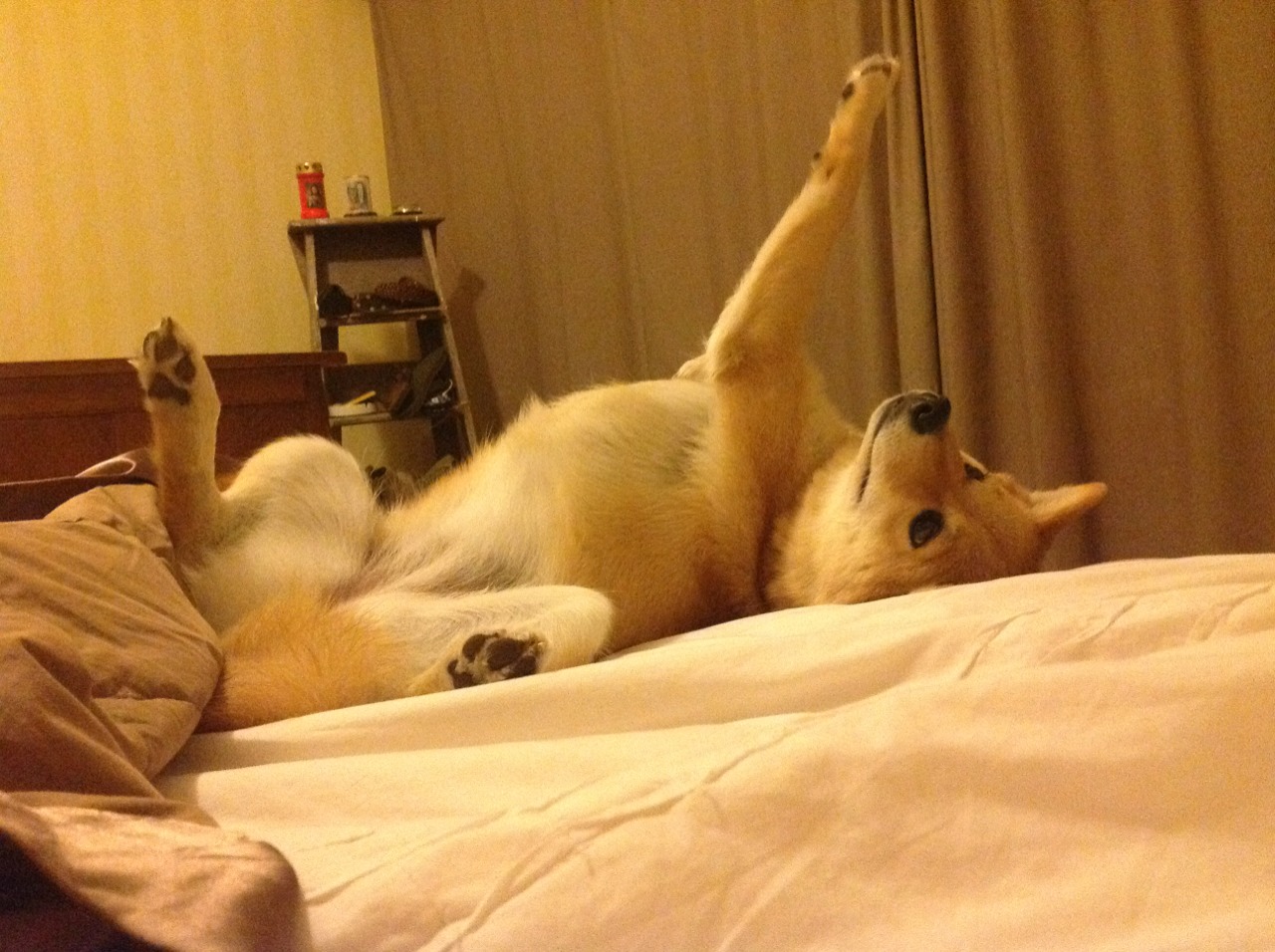 “中国足球运动员签约国际体育品牌”，足球队员中国