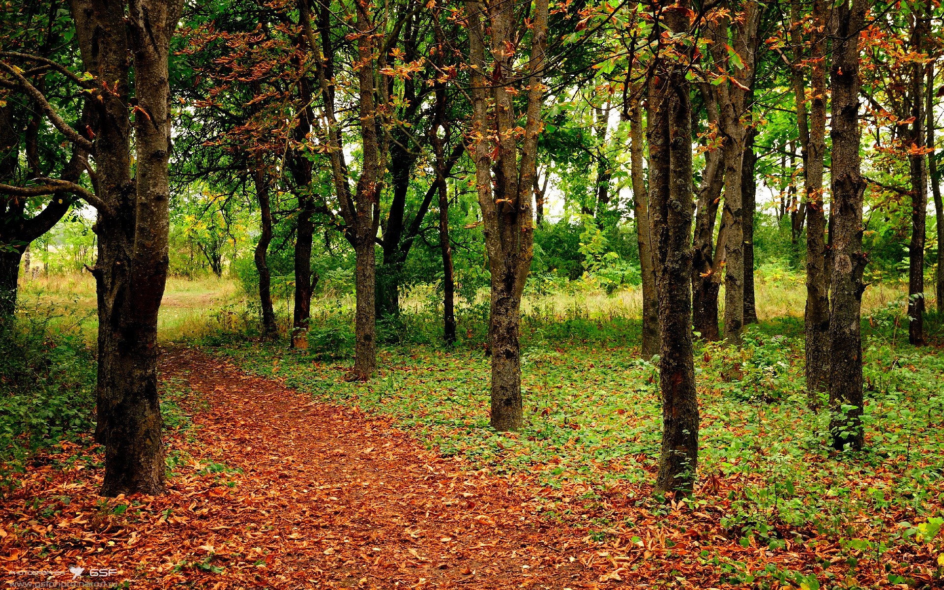 全國摔跤锦标赛,力量与技巧的荣耀舞台,全国摔跤锦标赛事件