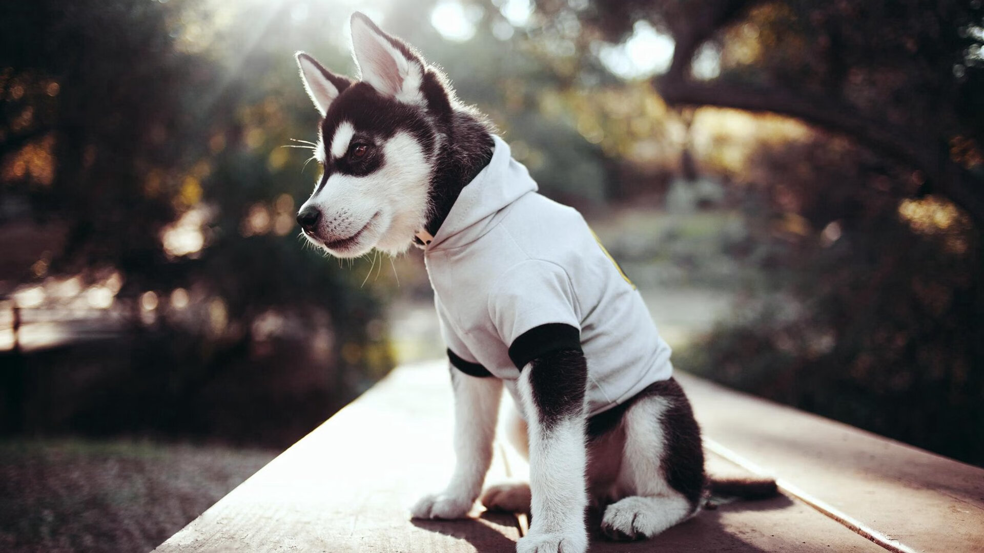 线上线下融合新趋势,打造全民电竞盛宴,线上线下融合的新模式还有哪些