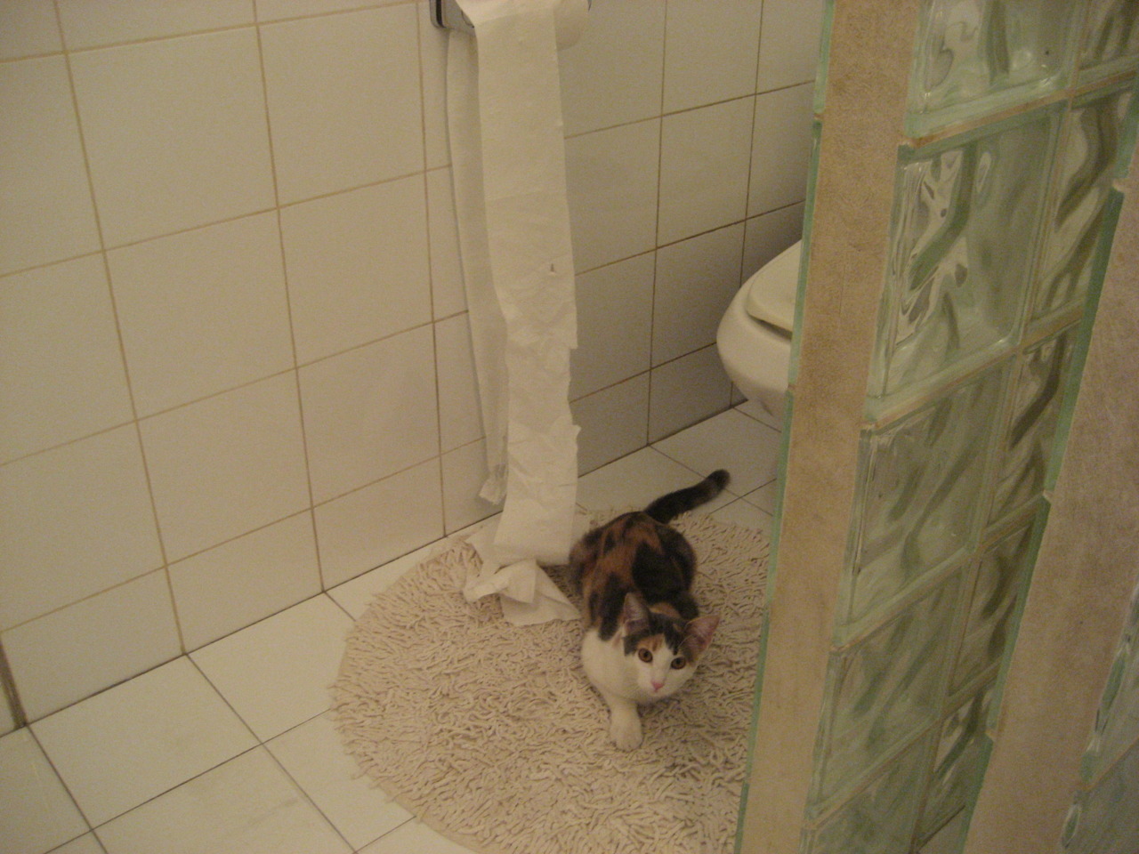 leyu乐鱼体育综合-足球派对：各地特色比赛日，体验不同文化风情，足球门派