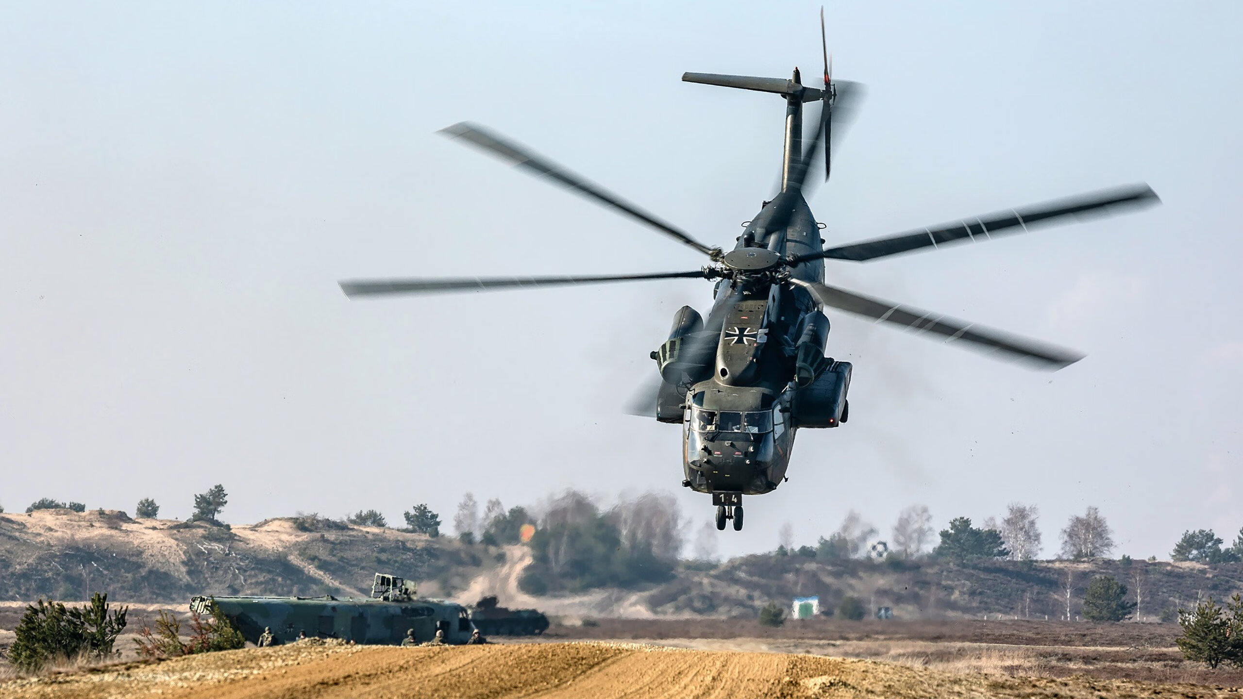 乐鱼（LEYU）体育-不伦瑞克狮王力挫群雄，蓄势待发再创佳绩