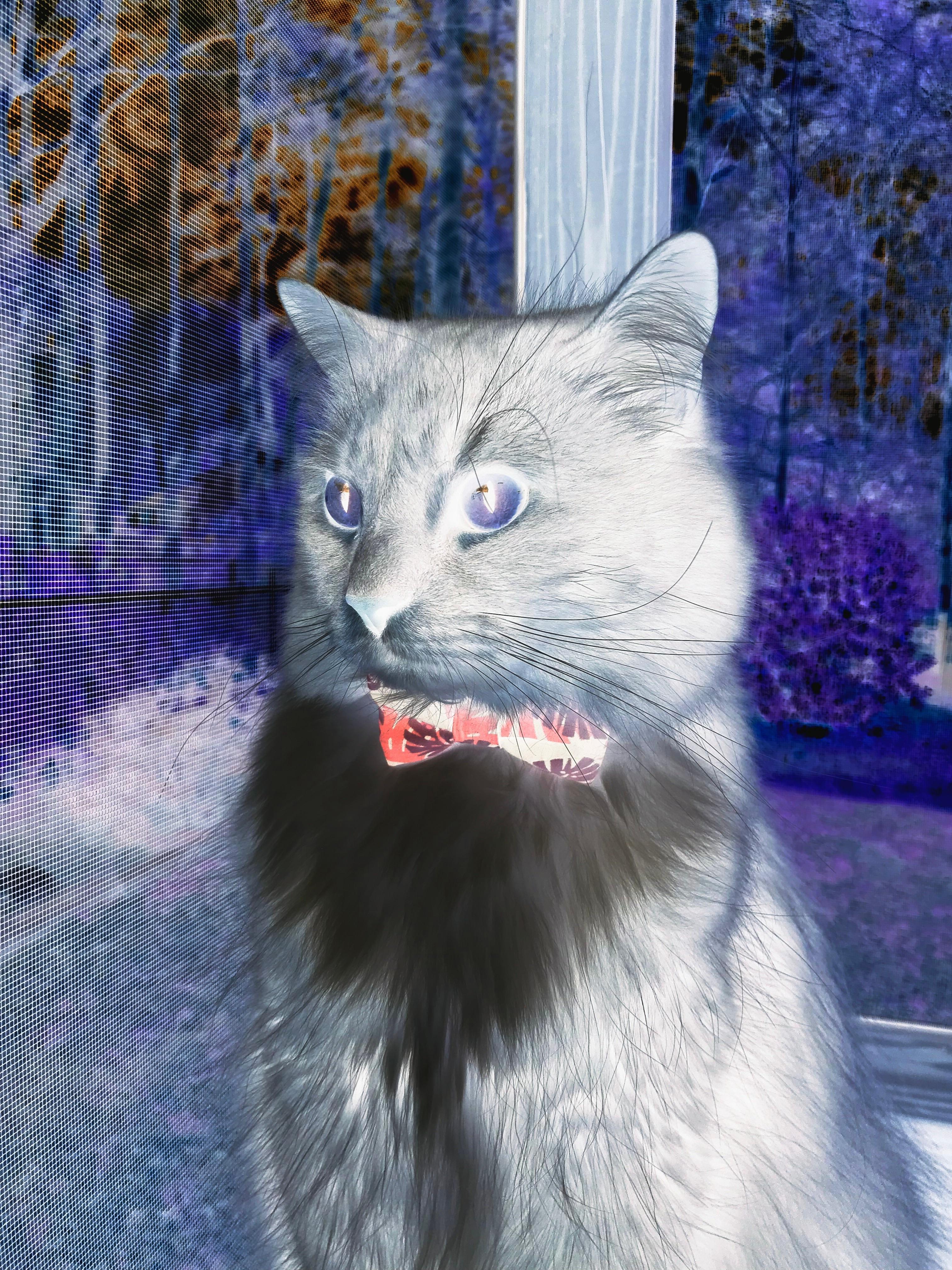 LeyuSports-亚洲豪强争霸，精彩对决持续进行，亚洲豪苑