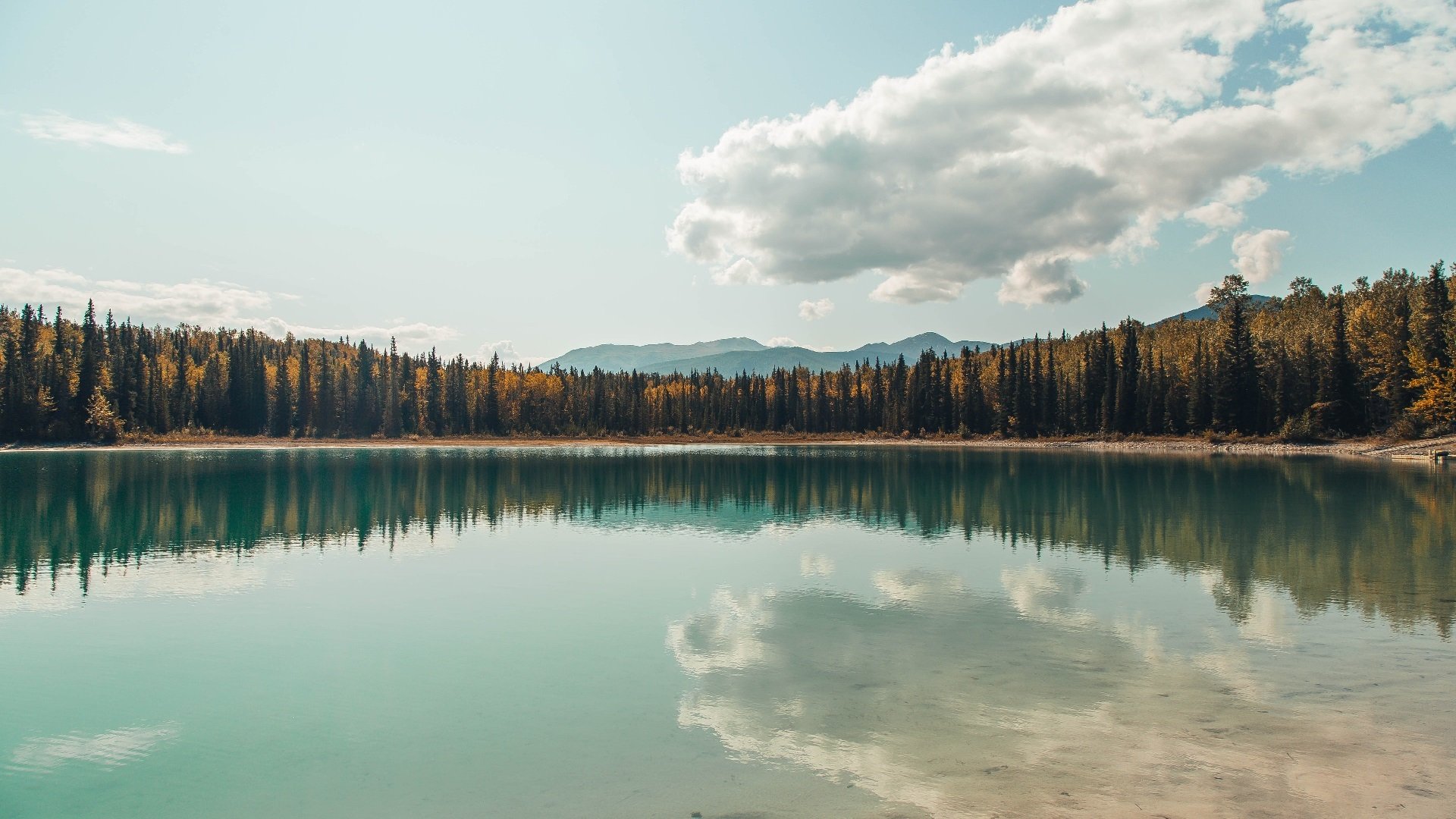 凯尔特人塔图姆继续稳定输出，18赛季凯尔特人塔图姆数据