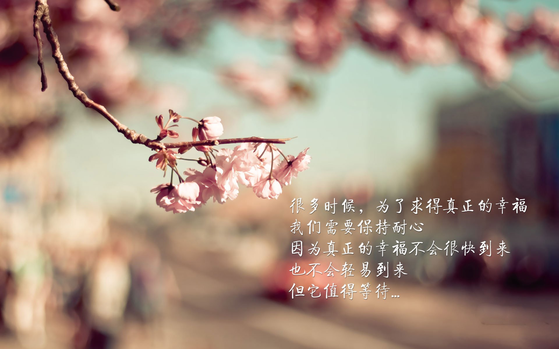 乐鱼电竞在线平台-比赛中球员们拼尽全力，为球队赢得胜利，球员们的比拼很热烈,赢得了观众的阵阵喝彩