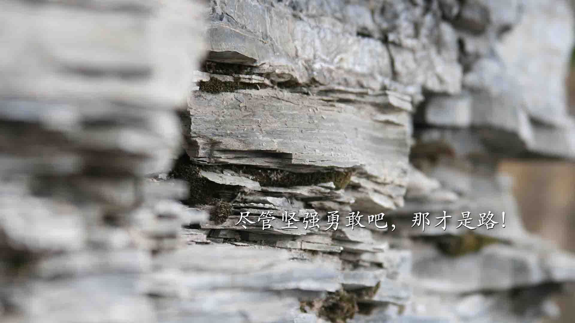 湖南男篮在场上全力拼搏,获得胜利,湖南省男篮