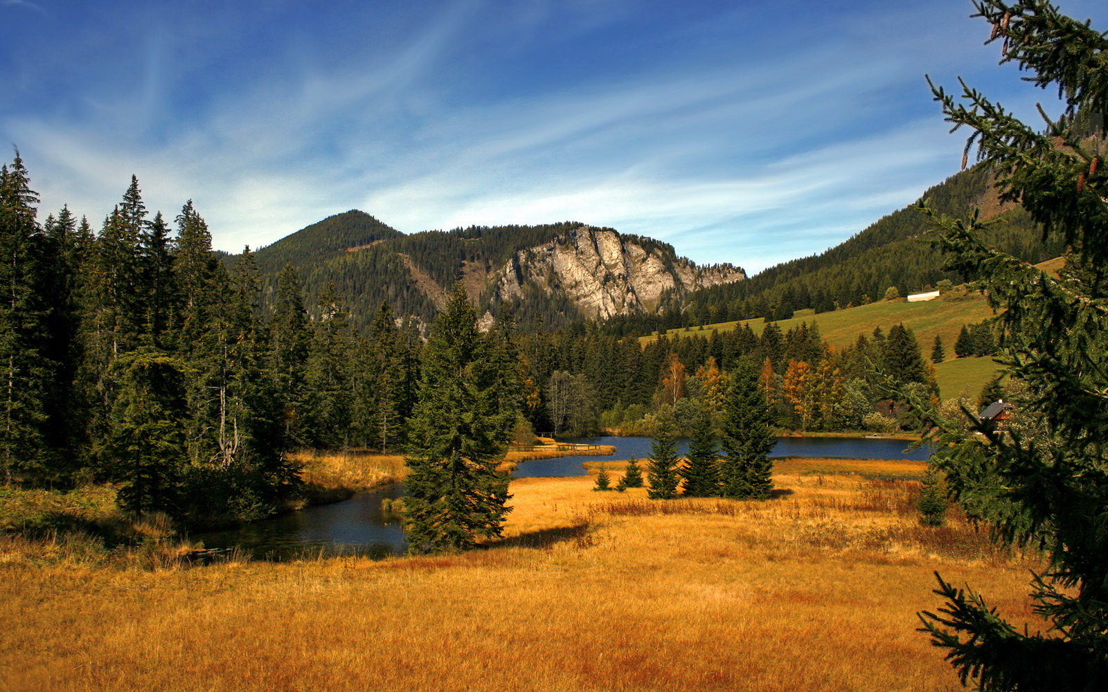 乐鱼（LEYU）体育-生力啤酒人防守强度逐步加强，生力啤酒现状