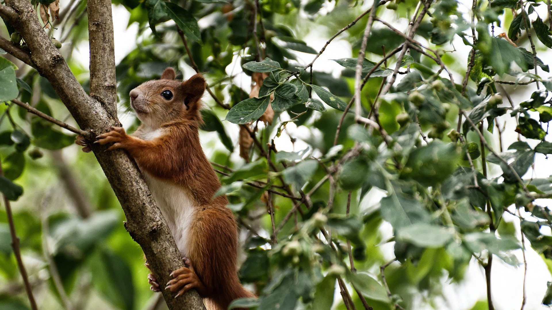 乐鱼体育平台app下载-阿丽娜·萨巴伦卡赢得2024年WTA年终总决赛