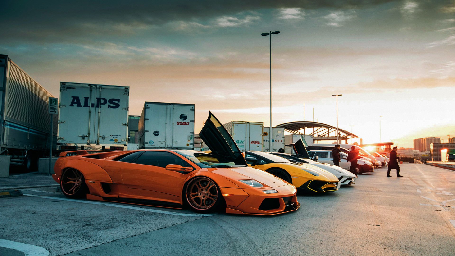 APP下载 LY Sports-体育场馆应急管理演练，体育场馆突发事件应急预案