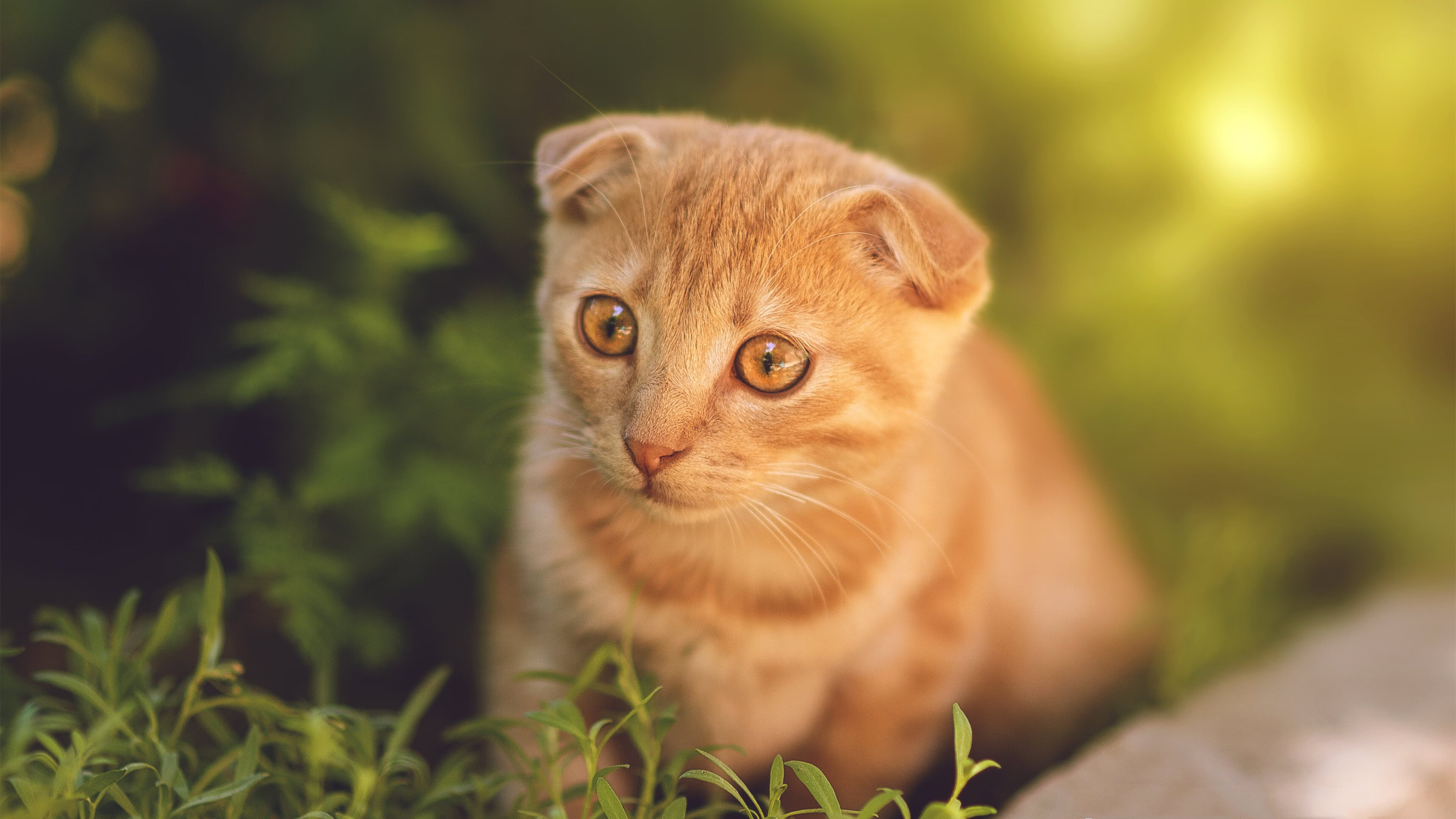 五大联赛是否推动门将站位前移至半场边缘,五大联赛门将扑救率排名