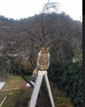 巴尔:他在防守和进攻中的出色表现让全黑队的战术更加多变,巴尔巴训练