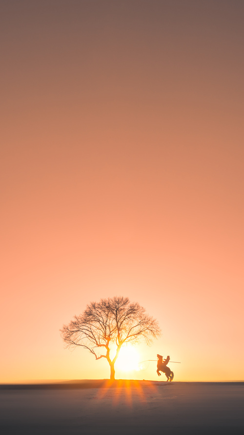 德甲攻防决战:每一次争夺都令人屏息,德甲防守