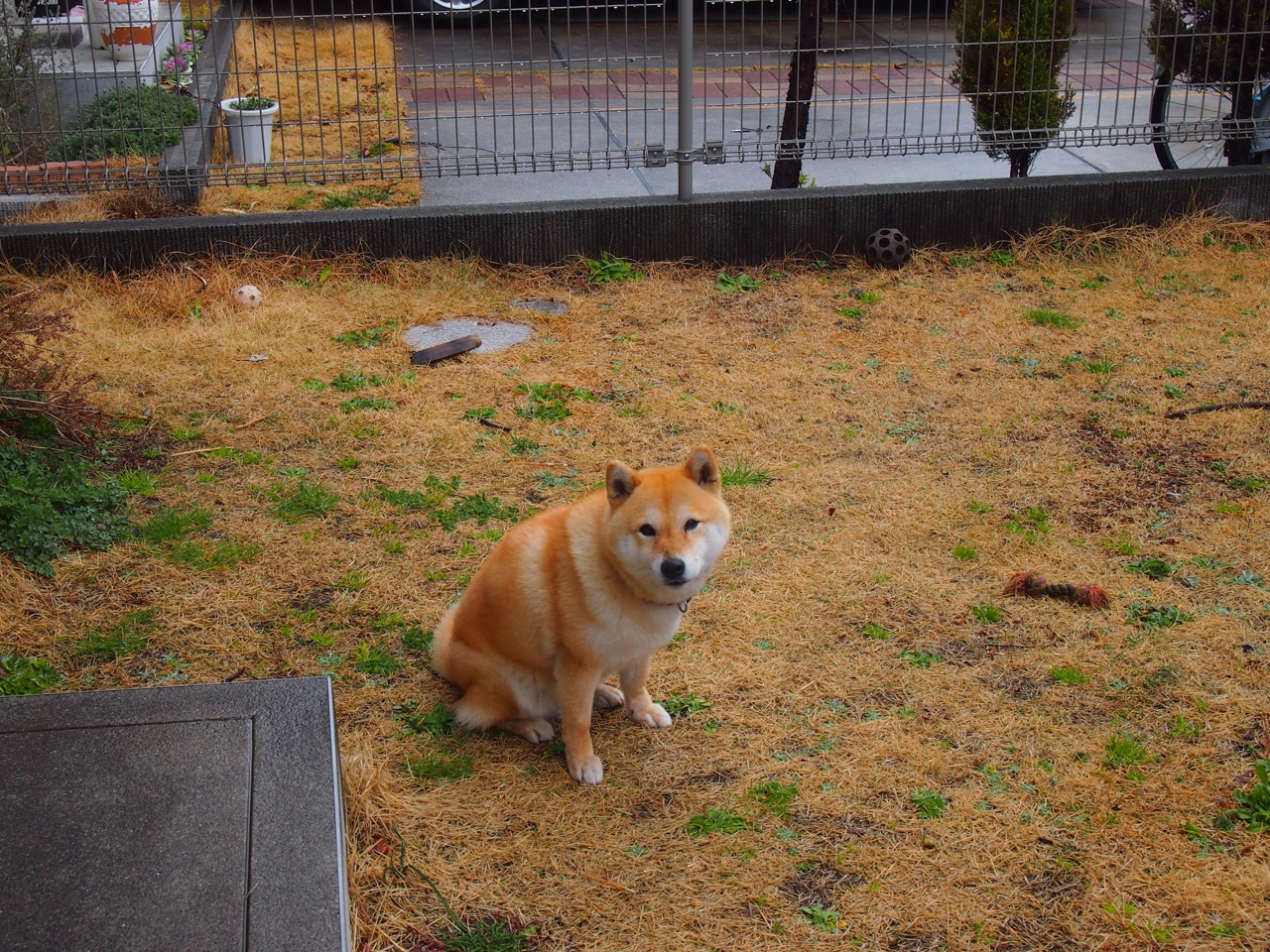 Leyu Sports (乐鱼体育)-施瓦茨中段发力 展现后程能力，施瓦茨集团