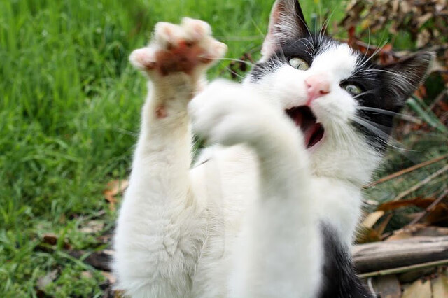 热火球员学习急停跳投提高投篮稳定性,热火连续抢七个进攻篮板