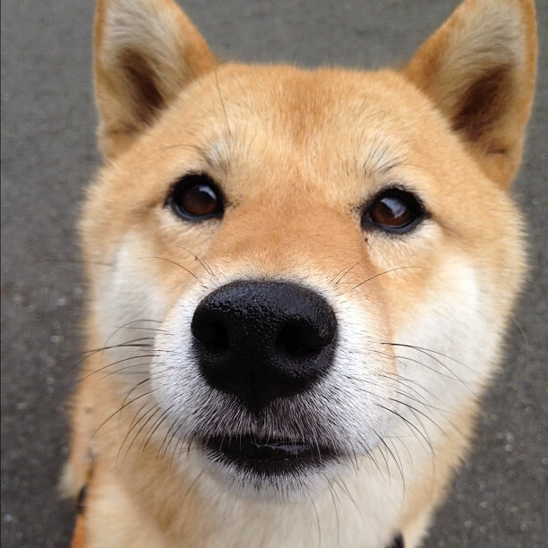 乐鱼娱乐app-蛙泳冲刺韩国稳中求胜，蛙泳完整版视频